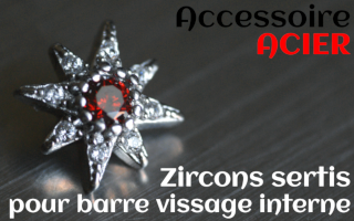 Accessoires Acier - zircon serti rouge - pour vissage interne 1.0 (labret - industriel - teton - circulaire)
