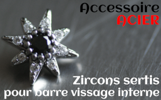 Accessoires Acier - zircon serti noir - pour vissage interne 1.0 (labret - industriel - teton - circulaire)