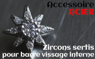 Accessoires Acier - zircon serti cristal - pour vissage interne 1.0 (labret - industriel - teton - circulaire)
