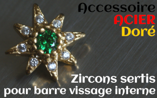 Accessoires Acier Dore - zircon serti emeraude - pour vissage interne 1.0 (labret - industriel - teton - circulaire)