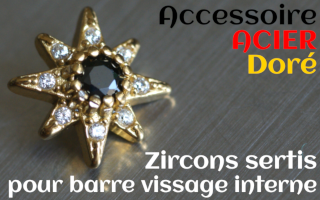 Accessoires Acier Dore - zircon serti noir - pour vissage interne 1.0 (labret - industriel - teton - circulaire)