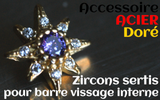 Accessoires Acier Dore - zircon serti amethyste - pour vissage interne 1.0 (labret - industriel - teton - circulaire)