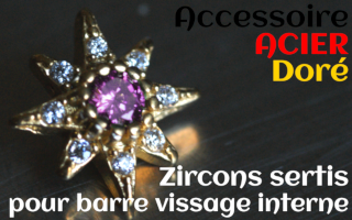 Accessoires Acier Dore - zircon serti Rose - pour vissage interne 1.0 (labret - industriel - teton - circulaire)