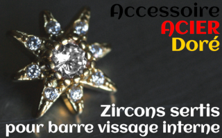Accessoires Acier Dore - zircon serti cristal - pour vissage interne 1.0 (labret - industriel - teton - circulaire)