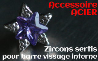 Accessoires etoile Acier - zircon serti amethyste - pour vissage interne 1.0 (labret - industriel - teton - circulaire)
