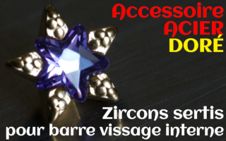 Accessoires etoile Acier Dore - zircon serti amethyste - pour vissage interne 1.0 (labret - industriel - teton - circulaire)