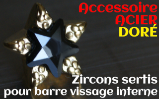 Accessoires etoile Acier Dore - zircon serti noir - pour vissage interne 1.0 (labret - industriel - teton - circulaire)