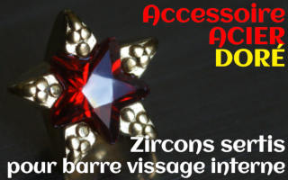 Accessoires etoile Acier Dore - zircon serti rouge - pour vissage interne 1.0 (labret - industriel - teton - circulaire)