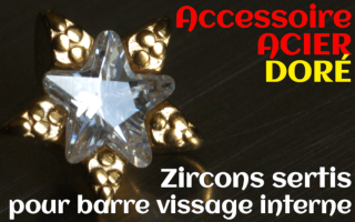 Accessoires etoile Acier Dore - zircon serti cristal - pour vissage interne 1.0 (labret - industriel - teton - circulaire)