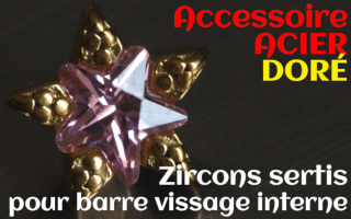 Accessoires etoile Acier Dore - zircon serti rose - pour vissage interne 1.0 (labret - industriel - teton - circulaire)