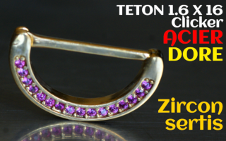 Teton clicker acier Dore 1.6 x 16 - zircons rose