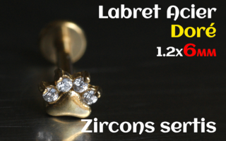 labret 1.2x6 Acier Dore - zircon sertis