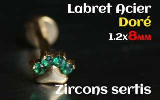 labret 1.2x8 Acier Dore - zircon sertis