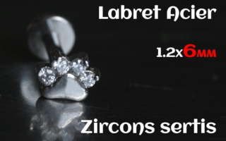 labret 1.2x6 Acier - zircon sertis