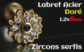 labret 1.2x8 Acier Dore - zircon sertis