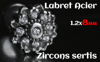 labret 1.2x8 Acier - zircon sertis