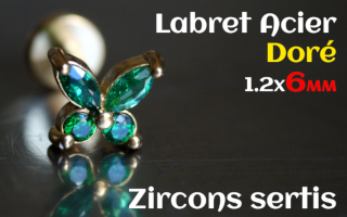 labret 1.2x6 Acier Dore - zircon sertis
