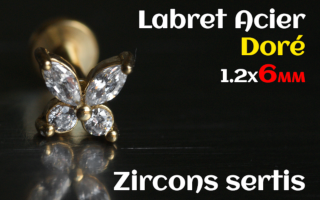 labret 1.2x6 Acier Dore - zircon sertis