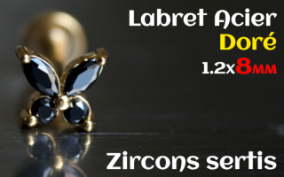 labret 1.2x8 Acier Dore - zircon sertis