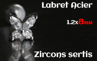 labret 1.2x8 Acier - zircon sertis