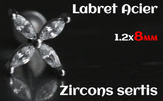 labret 1.2x8 Acier - zircon sertis