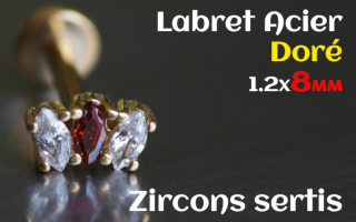 labret 1.2x8 Acier Dore - zircon sertis