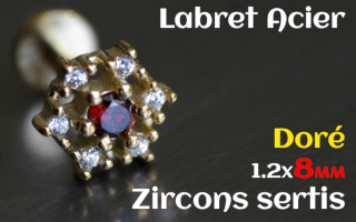 labret 1.2x8 Acier Dore - zircon sertis