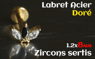 labret 1.2x8 Acier Dore - zircon sertis
