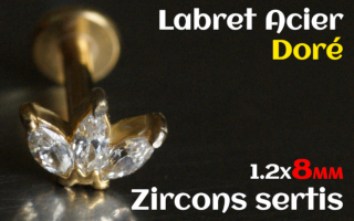 labret 1.2x8 Acier Dore - zircon sertis