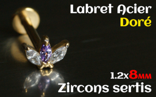 labret 1.2x8 Acier Dore - zircon sertis