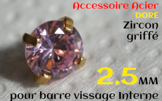 Accessoires Acier Dore vissage interne 1.0 pour barres creuses 1.2 mm - Zircon Rose serti 2.5 mm