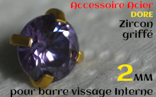Accessoires Acier Dore vissage interne 1.0 pour barres creuses 1.2 mm - Zircon amethyste serti 2 mm