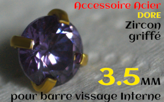 Accessoires Acier Dore vissage interne 1.0 pour barres creuses 1.2 mm - Zircon amethyste serti 3.5 mm