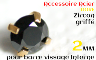 Accessoires Acier Dore vissage interne 1.0 pour barres creuses 1.2 mm - Zircon noir serti 2 mm
