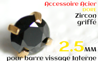 Accessoires Acier Dore vissage interne 1.0 pour barres creuses 1.2 mm - Zircon noir serti 2.5 mm