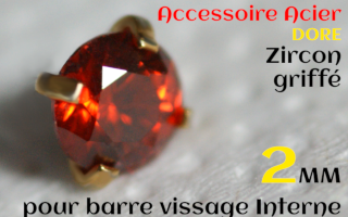Accessoires Acier Dore vissage interne 1.0 pour barres creuses 1.2 mm - Zircon rubis serti 2 mm