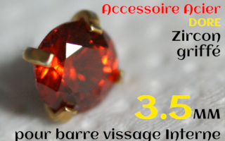 Accessoires Acier Dore vissage interne 1.0 pour barres creuses 1.2 mm - Zircon rubis serti 3.5 mm