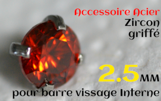 Accessoires Acier vissage interne 1.0 pour barres creuses 1.2 mm - Zircon rubis serti 2.5 mm
