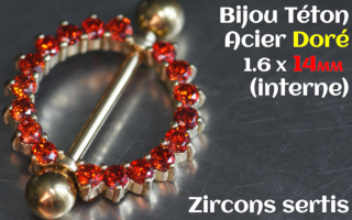 Bijou teton Acier Dore 1.6 x 14 (mesure interne) - Zircon sertis