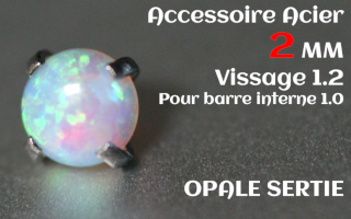 Accessoire Opale 2.0 mm griffe Acier vissage pour barre interne 1.2 (1.0 interne)