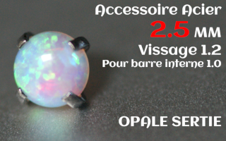 Accessoire Opale 2.5 mm griffe Acier vissage pour barre interne 1.2 (1.0 interne)