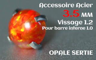 Accessoire Opale 3.5 mm griffe Acier vissage pour barre interne 1.2 (1.0 interne)