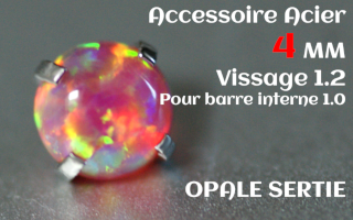 Accessoire Opale 4 mm griffe Acier vissage pour barre interne 1.2 (1.0 interne)
