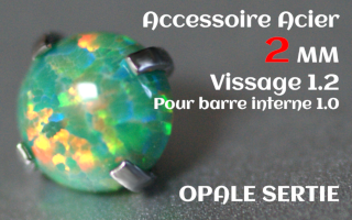 Accessoire Opale 2.0 mm griffe Acier vissage pour barre interne 1.2 (1.0 interne)