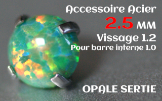 Accessoire Opale 2.5 mm griffe Acier vissage pour barre interne 1.2 (1.0 interne)