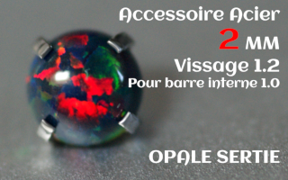Accessoire Opale 2.0 mm griffe Acier vissage pour barre interne 1.2 (1.0 interne)