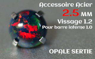 Accessoire Opale 2.5 mm griffe Acier vissage pour barre interne 1.2 (1.0 interne)