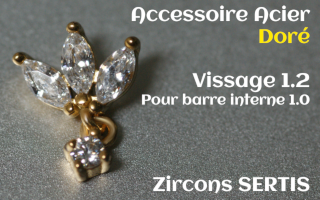 Accessoire pendentif Zircon griffe Acier Dore vissage pour barre interne 1.2 (1.0 interne)
