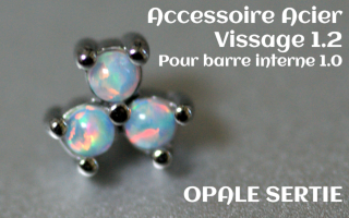 Accessoire Opale griffe Acier vissage pour barre interne 1.2 (1.0 interne)