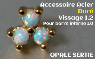 Accessoire Opale griffe Acier Doree vissage pour barre interne 1.2 (1.0 interne)